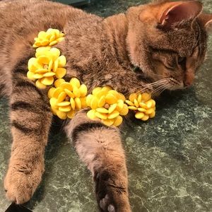 Yellow flower necklace.Kitty not for sale.
